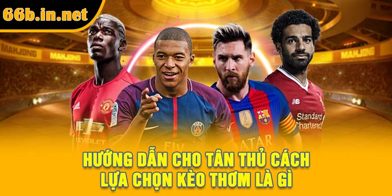 Hướng dẫn cho tân thủ cách lựa chọn kèo thơm là gì